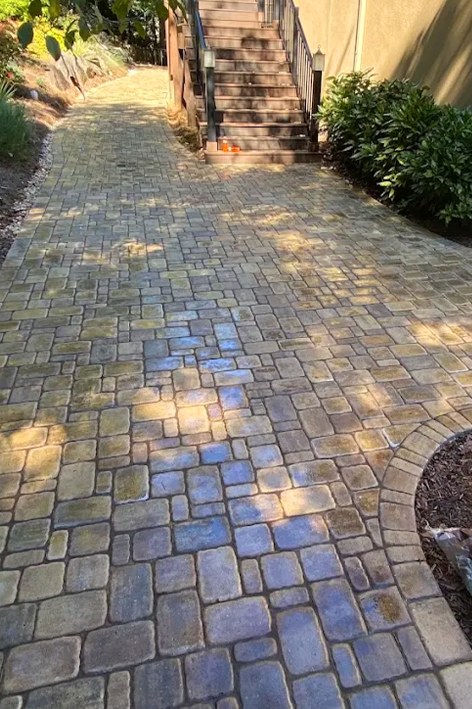 woman wearing earphones